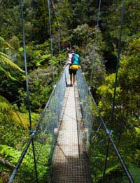 Travelling To New Zealand