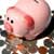 Questionnaire: Can You Afford a Gap Year?